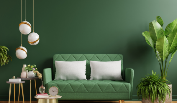 barani interiors