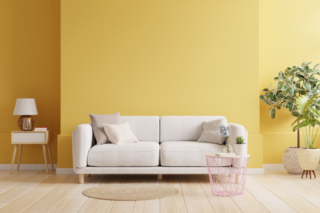 barani interiors