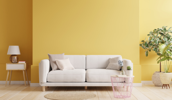 barani interiors